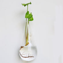 Load image into Gallery viewer, Terrarium Party Wall Decor